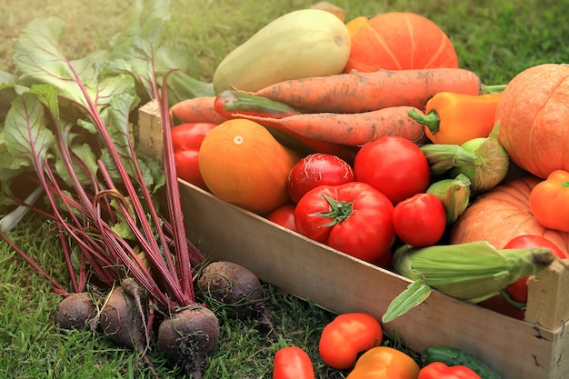 Diferentes frutas y verduras multicolores en una canasta de pie sobre el jugoso suelo