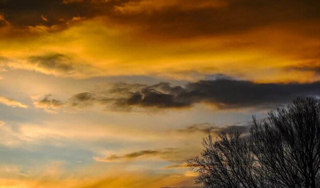 Diferentes nuvens coloridas ao pôr do sol com um panorama de árvore