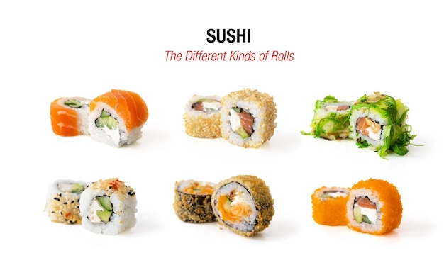 Diferentes tipos de rolos de sushi isolados no fundo branco