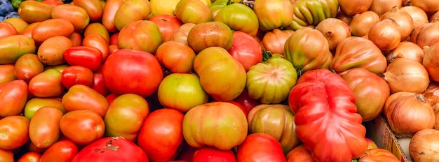 Diferentes tipos de tomates frescos em exposição em uma mercearia