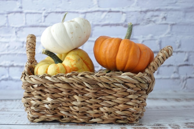 Diferentes tipos de fondo de color de mini calabazas