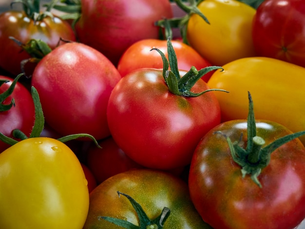 Diferentes tomates jugosos.