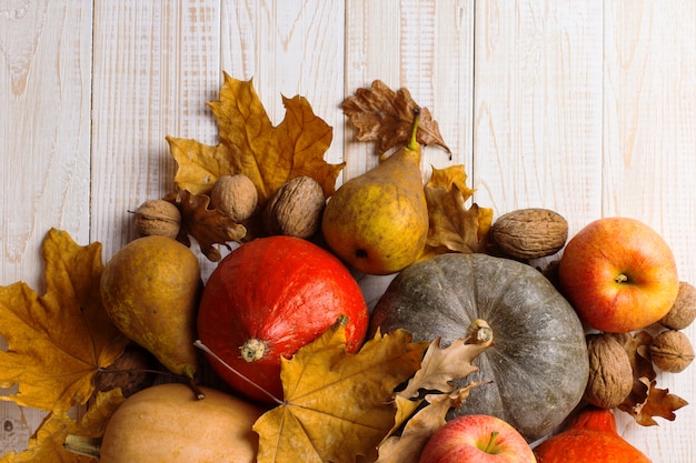 Diferentes verduras, calabazas, manzanas, peras, nueces y hojas amarillas secas sobre un fondo blanco de madera, copyspace. Cosecha