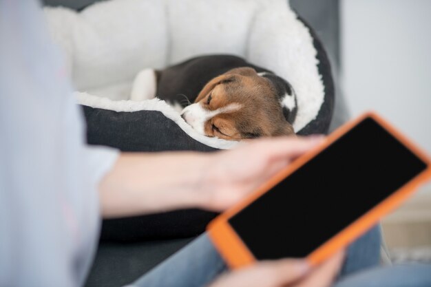 Digital. feche a foto de mãos femininas com um tablet