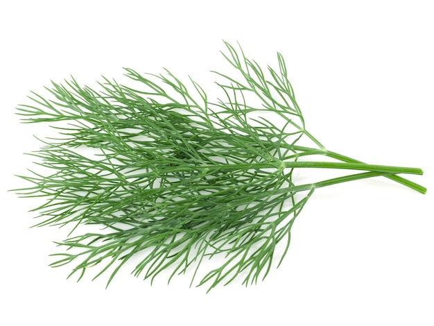 Dill aislado en fondo blanco Macro de estudio