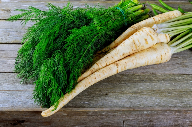 Dill und Petersilie. grüner frischer Petersilie-Karotten-Dill