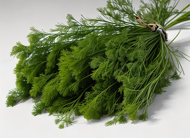 Dill