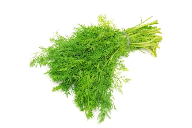 Dill