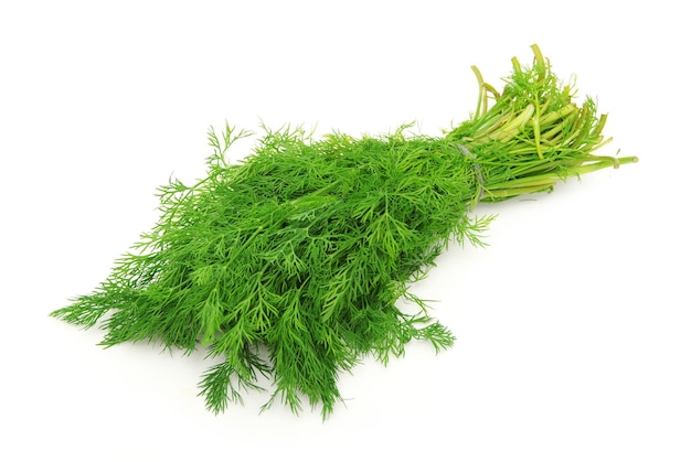 Dill