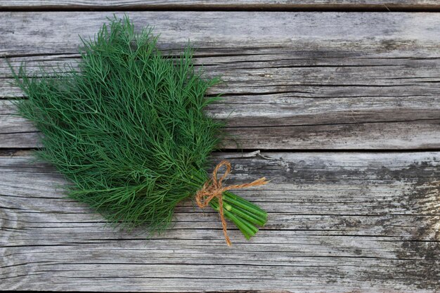 Dillbündel auf Holztisch als eine der aromatischen Kräuter- und Gewürzzutaten zum Kochen