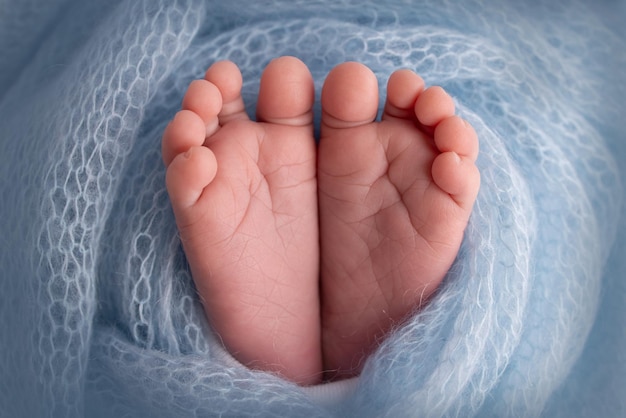 El diminuto pie de un recién nacido Pies suaves de un recién nacido en una manta de lana azul Primer plano de los dedos de los pies talones y pies de un bebé recién nacido Estudio Macro fotografía Woman39s felicidad Concepto