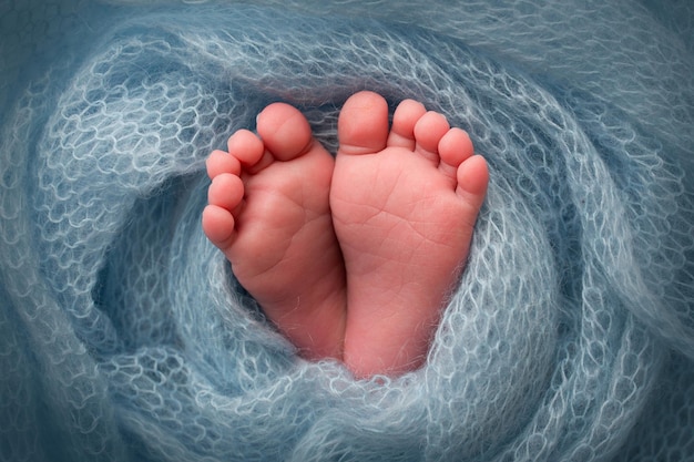 El diminuto pie de un recién nacido Pies suaves de un recién nacido en una manta de lana azul Primer plano de los talones de los dedos de los pies y los pies de un bebé recién nacido Estudio Macro fotografía Felicidad de la mujer