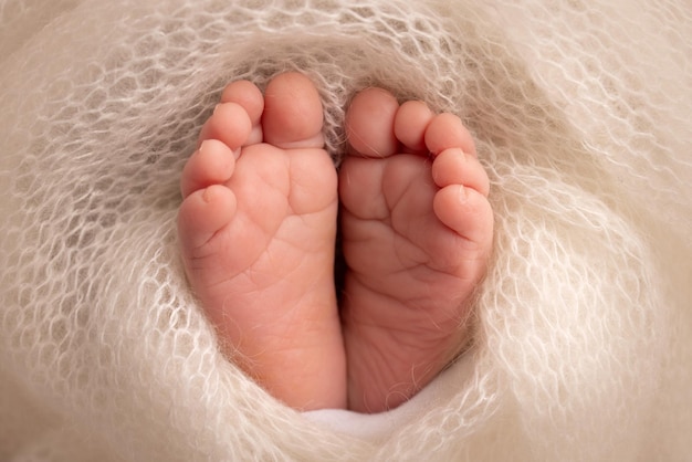 El diminuto pie de un recién nacido Pies suaves de un recién nacido en una manta de lana blanca Primer plano de los dedos de los pies talones y pies de un bebé recién nacido Estudio Macro fotografía Woman39s felicidad Concepto