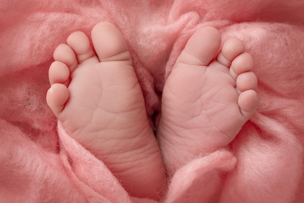 El diminuto pie de un recién nacido. Pies suaves de un recién nacido en una manta de lana rosa. Primer plano de los dedos de los pies, los talones y los pies de un bebé recién nacido. Fotografía macro de estudio. La felicidad de la mujer. Concepto.