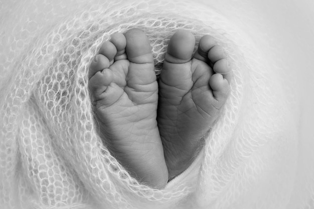 El diminuto pie de un recién nacido Pies suaves de un recién nacido en una manta Primer plano de los dedos de los pies Talones y pies de un bebé recién nacido Estudio Fotografía macro La felicidad de la mujer Concepto Blanco y negro