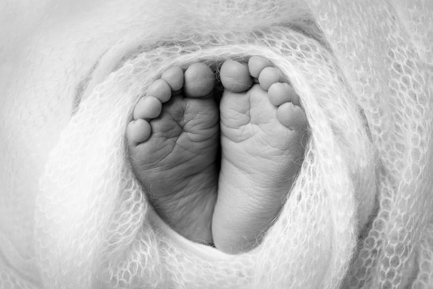 El diminuto pie de un recién nacido Pies suaves de un recién nacido en una manta Primer plano de los dedos de los pies Talones y pies de un bebé recién nacido Estudio Macro fotografía Felicidad de la mujer Concepto Blanco y negro