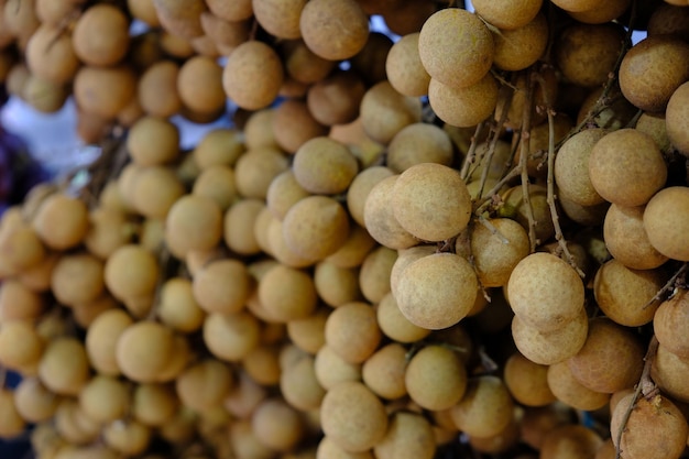 Dimocarpus longan, comúnmente conocido como longan y ojo de dragón, es una especie de árbol tropical.