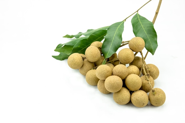 Dimocarpus longan en el fondo