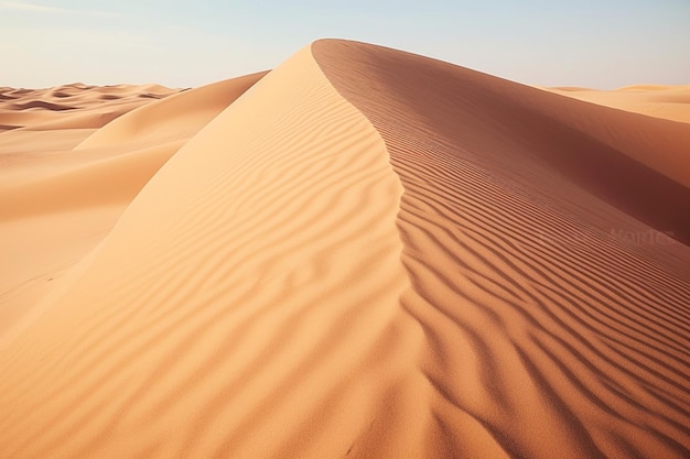 Dinámicas dunas de arena moldeadas por el viento