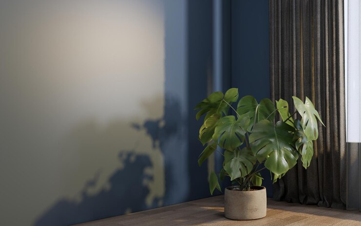 Foto dinding biru ruang kosong dengan tanaman lantai 3d-rendering (beruang ruang leer mit pflanzen)