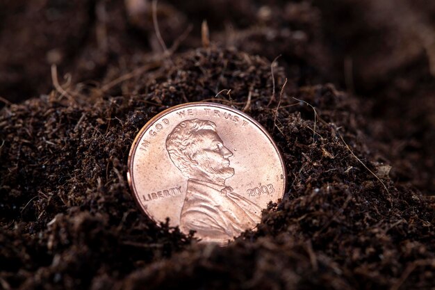 Dinero americano en un campo agrícola