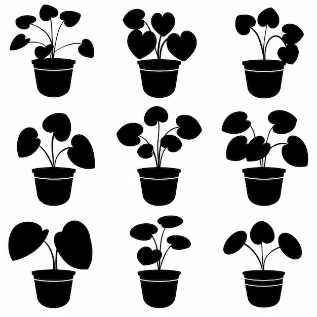 El dinero chino Pilea Peperomioides Icono de planta de olla Conjunto de planta de Pilea Diseño plano Símbolo de Croton Abstracto