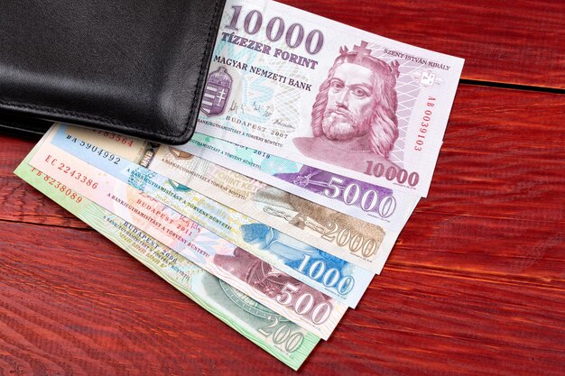Dinero húngaro Forint en la billetera negra