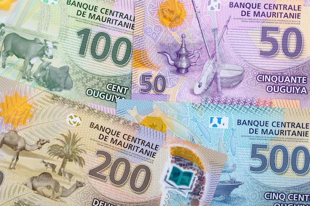 Dinero de mauritania