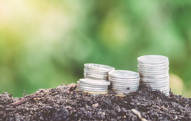 Dinero y planta en fondo verde