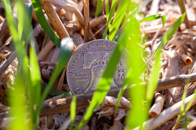 Dinheiro americano no campo agrícola junto em trigo de cereais