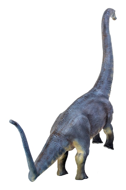 Dinosaurier Brontosaurus isolierter Hintergrund