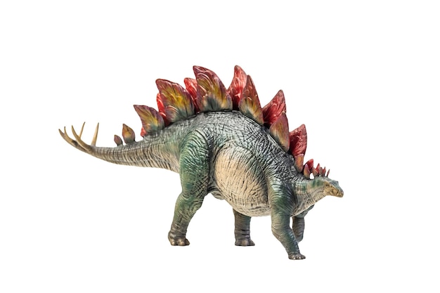 Dinosaurier Stegosaurus isolierter Hintergrund