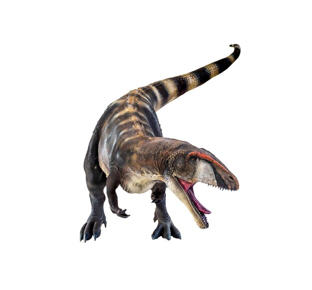 dinosaurio Carcharadontosaurus fondo aislado