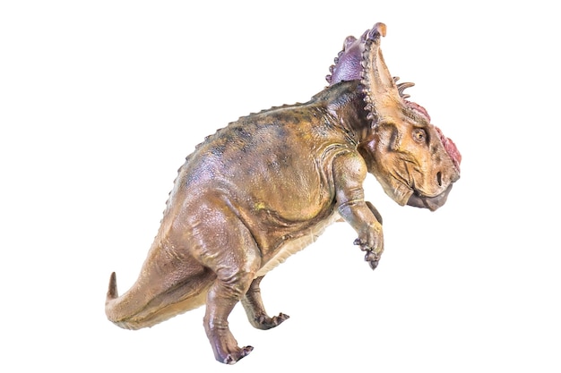 Foto dinosaurio pachyrhinosaurus sobre fondo aislado
