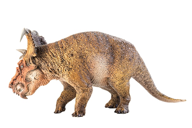 Dinosaurio Pachyrhinosaurus sobre fondo blanco.