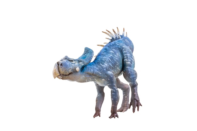 El dinosaurio Protoceratops en un fondo aislado