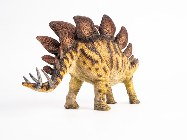Dinosaurio Stegosaurus en blanco
