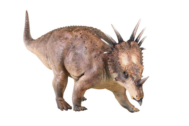 El dinosaurio Styracosaurus en un fondo aislado