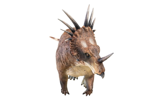 El dinosaurio Styracosaurus en un fondo aislado