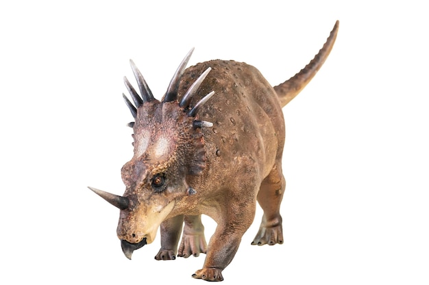 El dinosaurio Styracosaurus en un fondo aislado