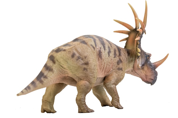 Dinosaurio Styracosaurus sobre fondo aislado