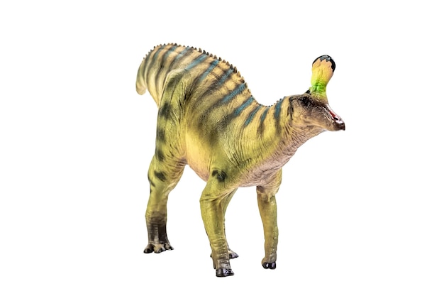 Dinosaurio Tsintaosaurus Spinorhinus sobre fondo blanco aislado Trazado de recorte