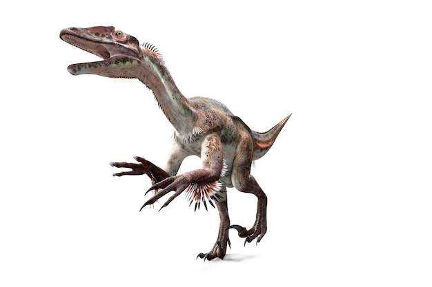 El dinosaurio Velociraptor científicamente correcto con plumas