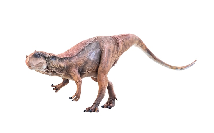 Foto dinossauro allosaurus em fundo isolado