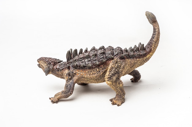 Dinossauro Ankylosaurus em fundo branco