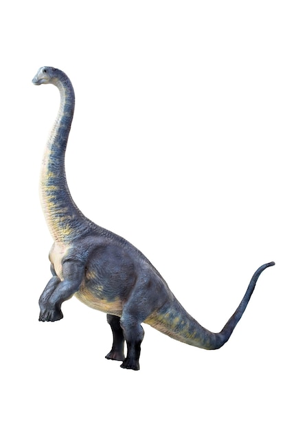 dinossauro brontossauro fundo isolado