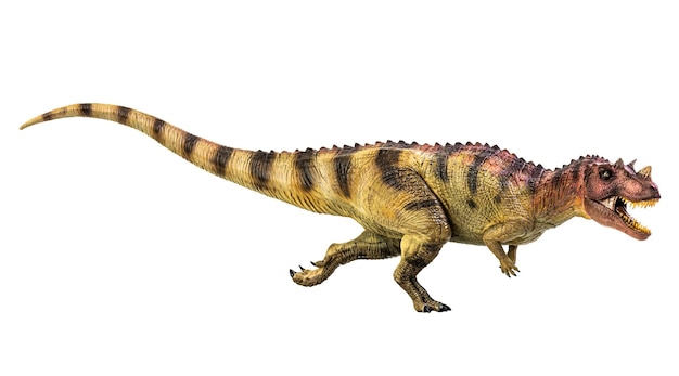 Dinossauro Ceratosaurus em fundo branco isolado Trajeto de recorte