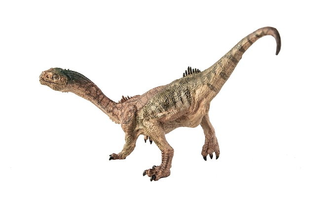 Dinossauro chilesaurus em fundo branco.