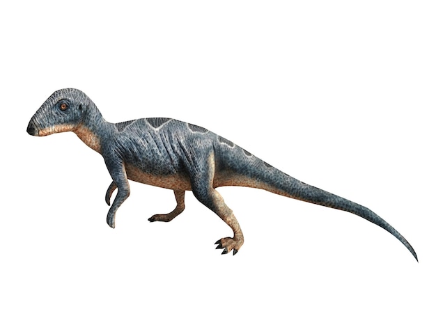 dinossauro em fundo branco jurássico