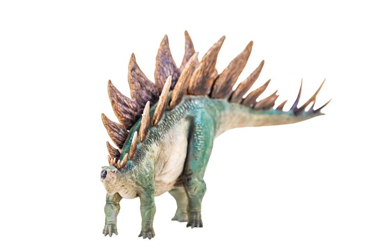 Foto dinossauro estegossauro em fundo isolado